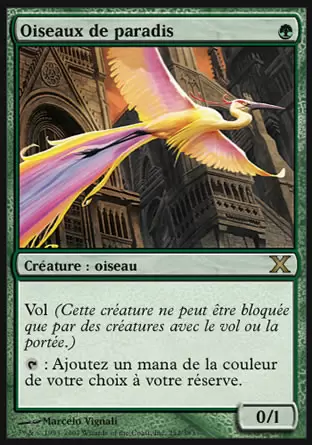 10ème Edition - Oiseaux de paradis