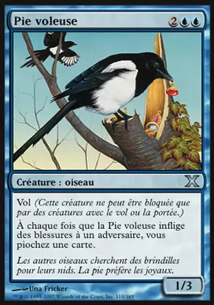 10ème Edition - Pie Voleuse
