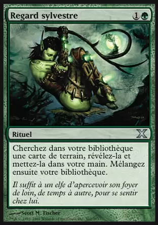 10ème Edition - Regard sylvestre