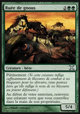 10ème Edition - Ruée de gnous