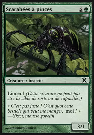 10ème Edition - Scarabées à pinces