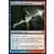 Influence du Dominus