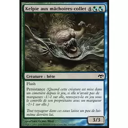 Kelpie aux mâchoires-collet