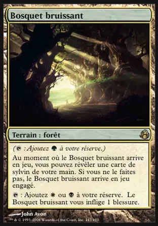 Morningtide - Bosquet bruissant