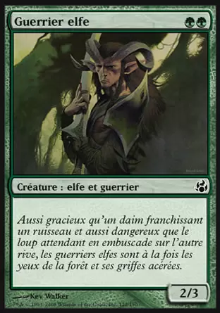 Morningtide - Guerrier elfe