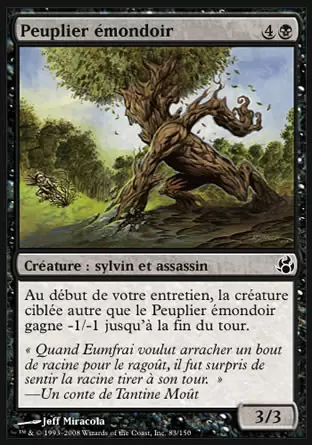Morningtide - Peuplier émondoir