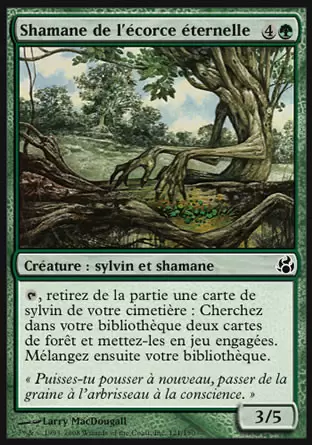 Morningtide - Shamane de l\'écorce éternelle