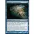 Morningtide - Source d\'inconscience