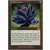 Lotus plus noir