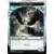 Storm Crow Token