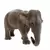 Wild Life - Éléphant d\'Asie femelle
