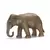 Wild Life - Éléphant d\'Asie femelle