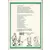 Recueil du journal de Spirou - Album du journal N° 200