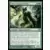 Coeur d'argent wolfir