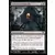 Isolement homicide