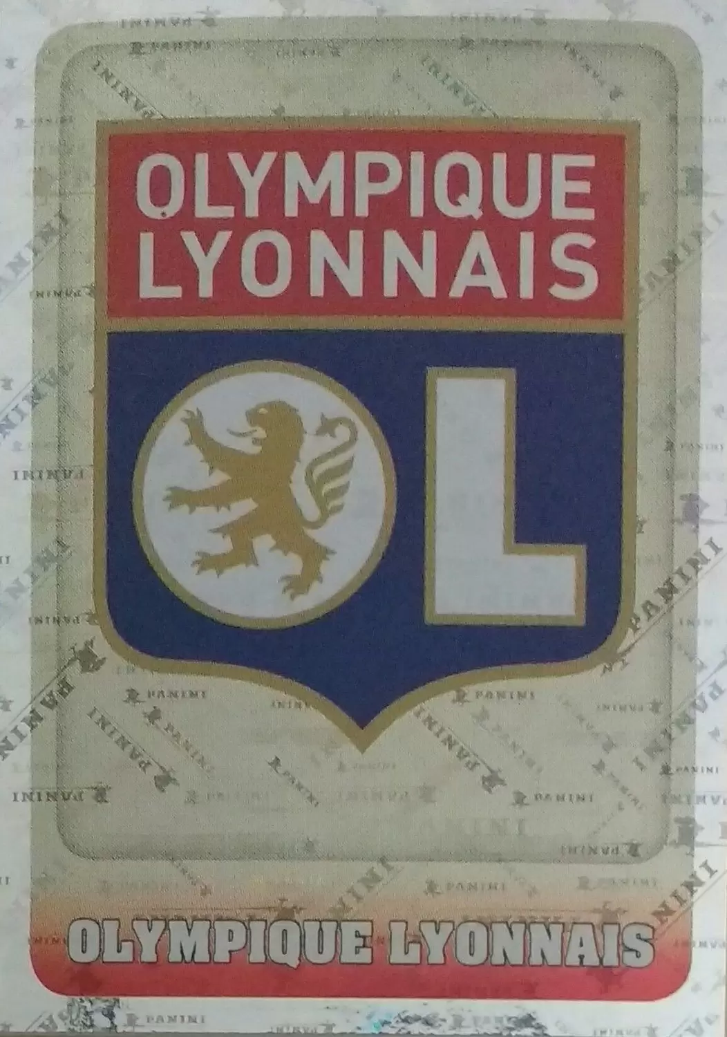 Championnat de France 2018-2019 - Écusson - Olympique Lyonnais