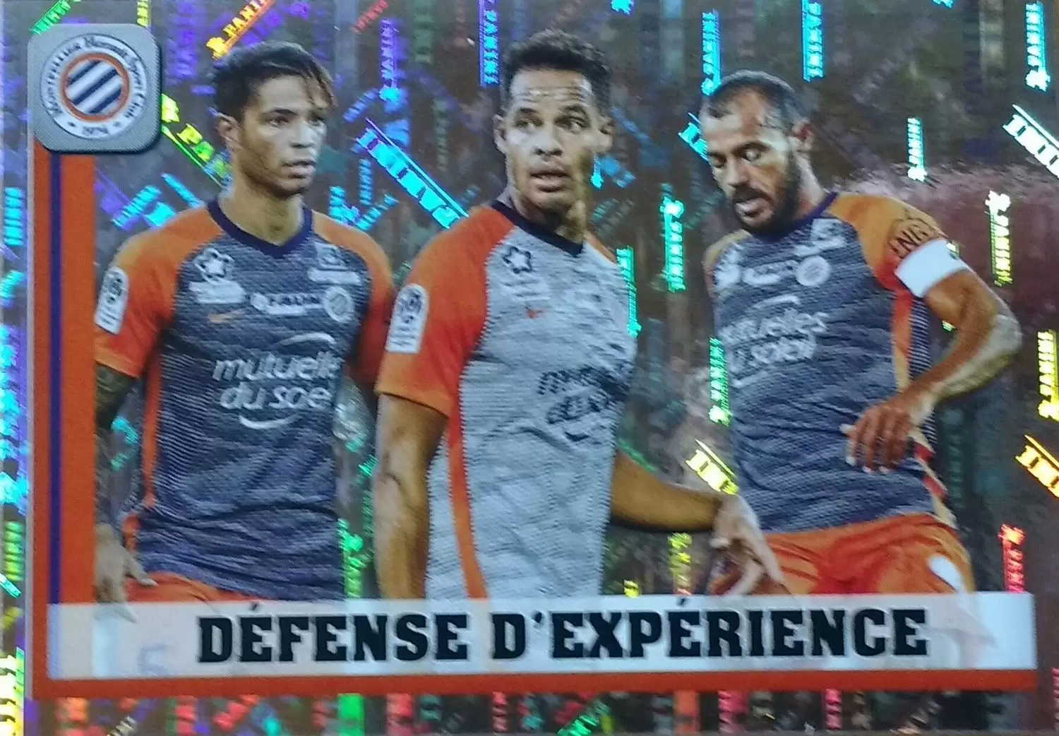 Championnat de France 2018-2019 - Skill - Montpellier Hérault SC