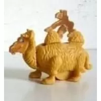 Singe sur chameau