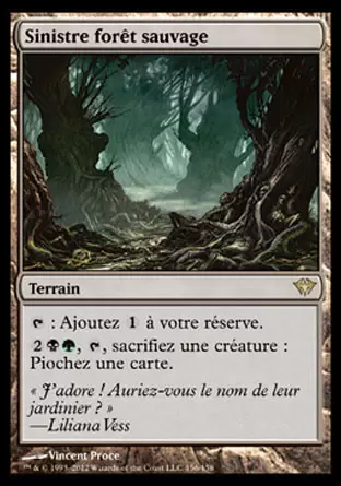 Obscure Ascension - Sinistre forêt sauvage