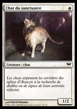 Obscure Ascension - Chat du sanctuaire