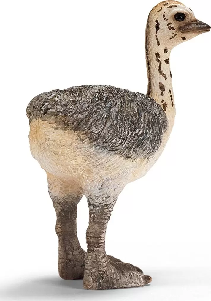 Wild Life - Bébé autruche