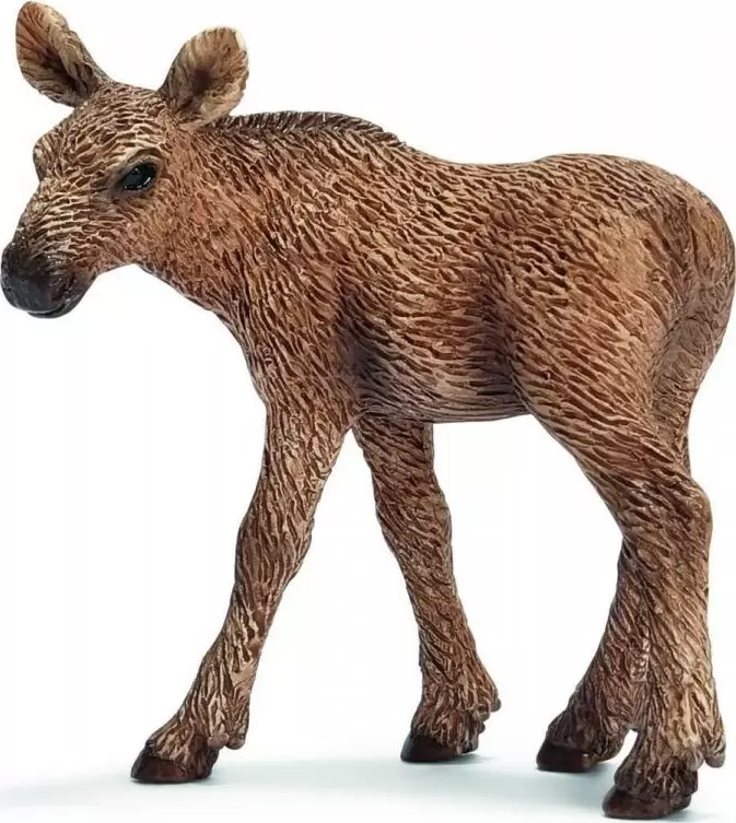 Wild Life - Bébé élan