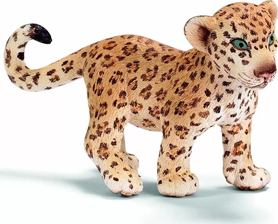 Wild Life - Bébé léopard