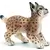 Wild Life - Bébé lynx