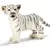 Bébé tigre blanc