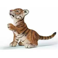 Bébé tigre du Bengale assis