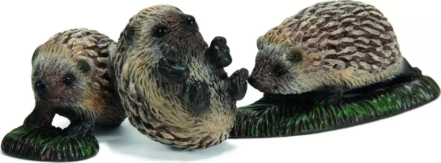 Wild Life - Bébés hérissons