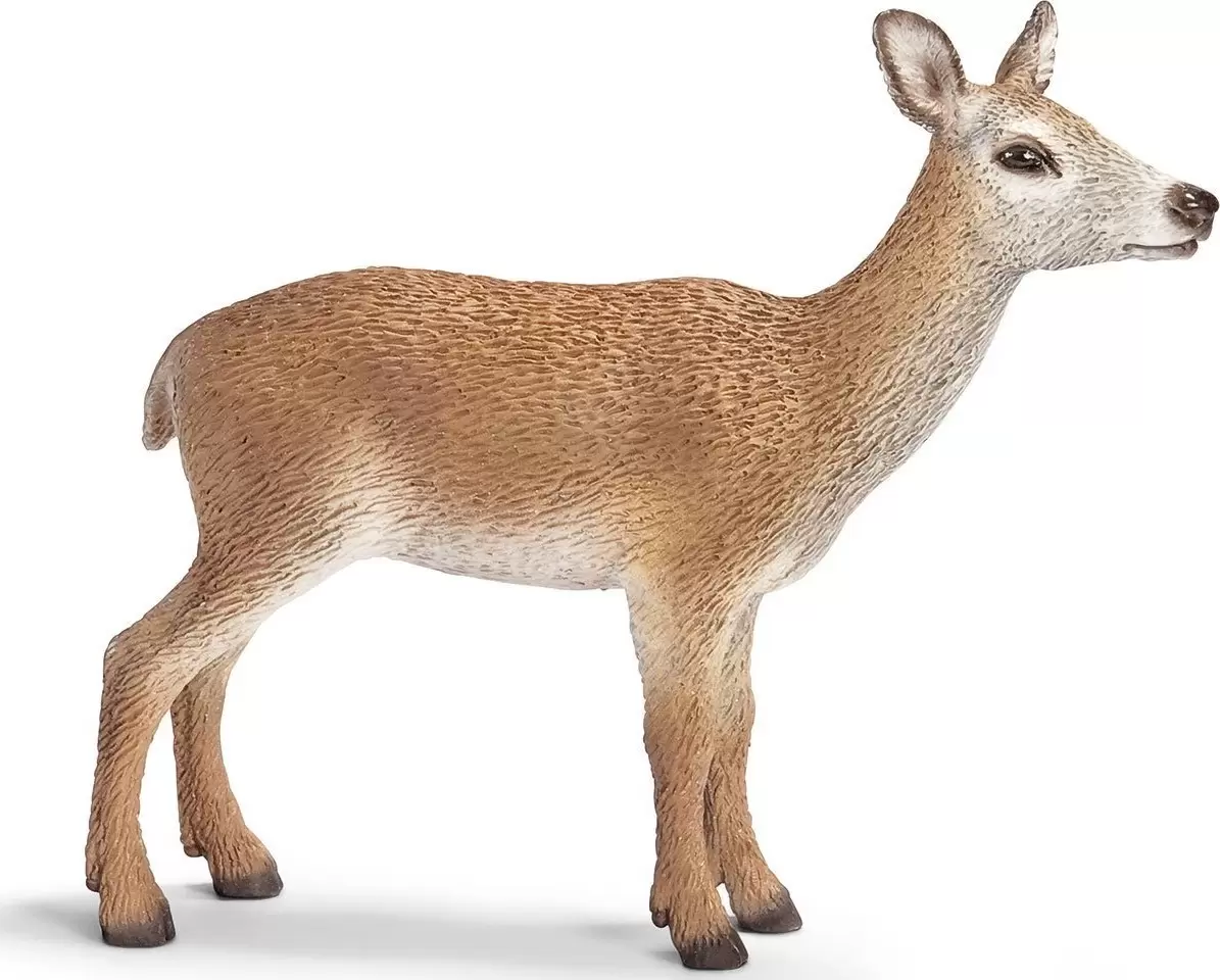 Wild Life - Biche rouge