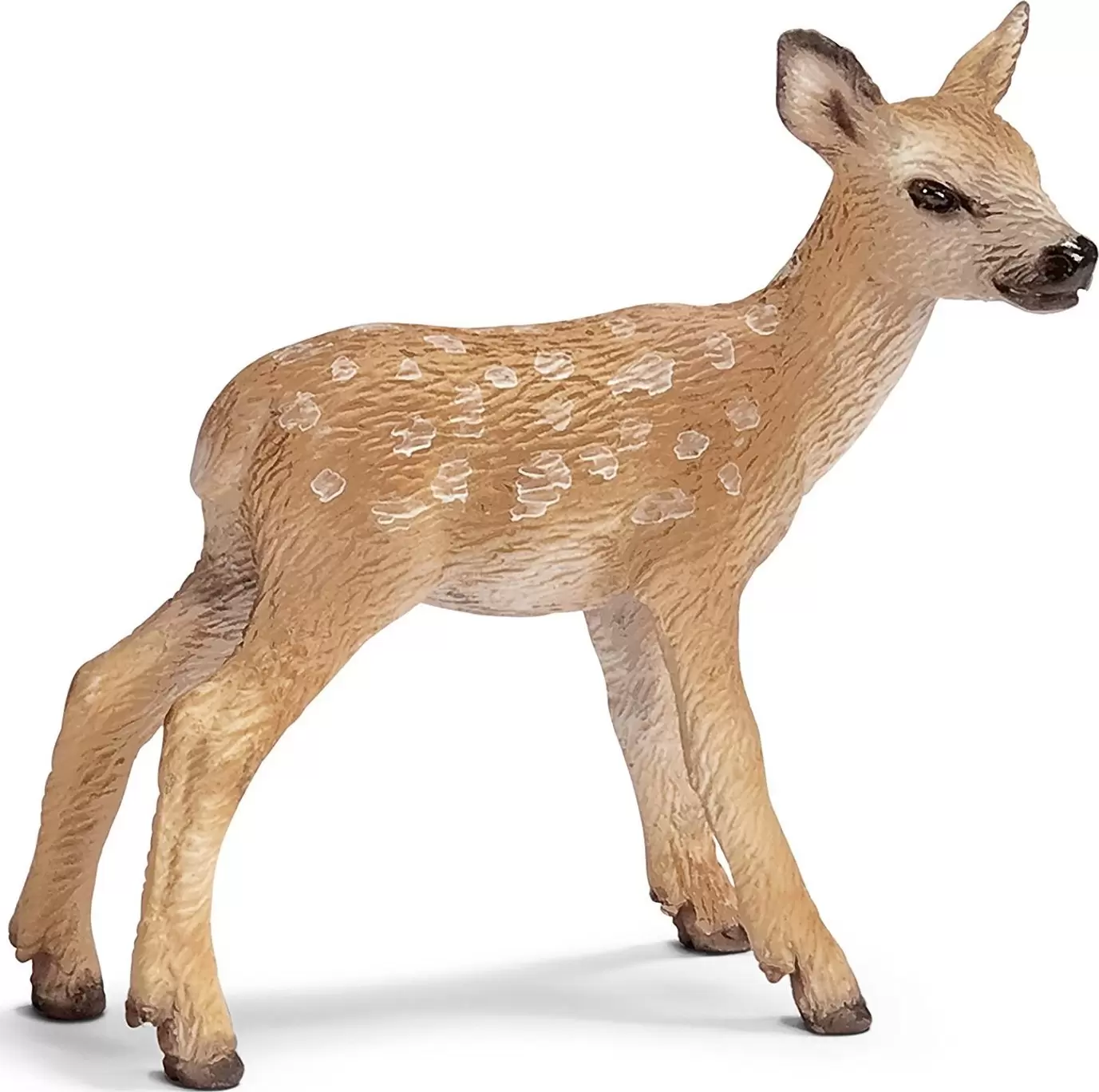 Wild Life - Cerf rouge faon