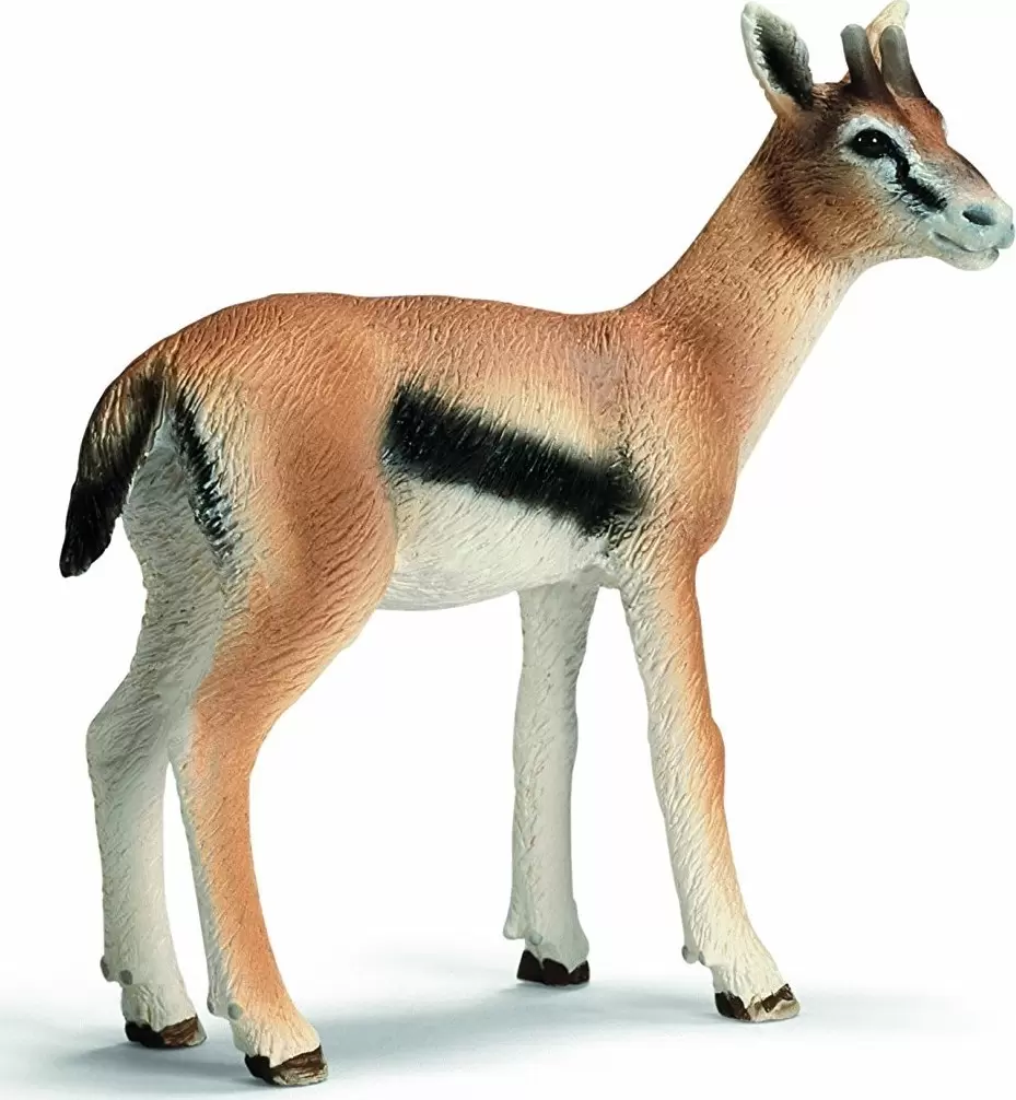 Wild Life - Gazelle