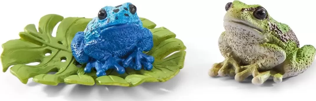 Wild Life - Kit grenouille