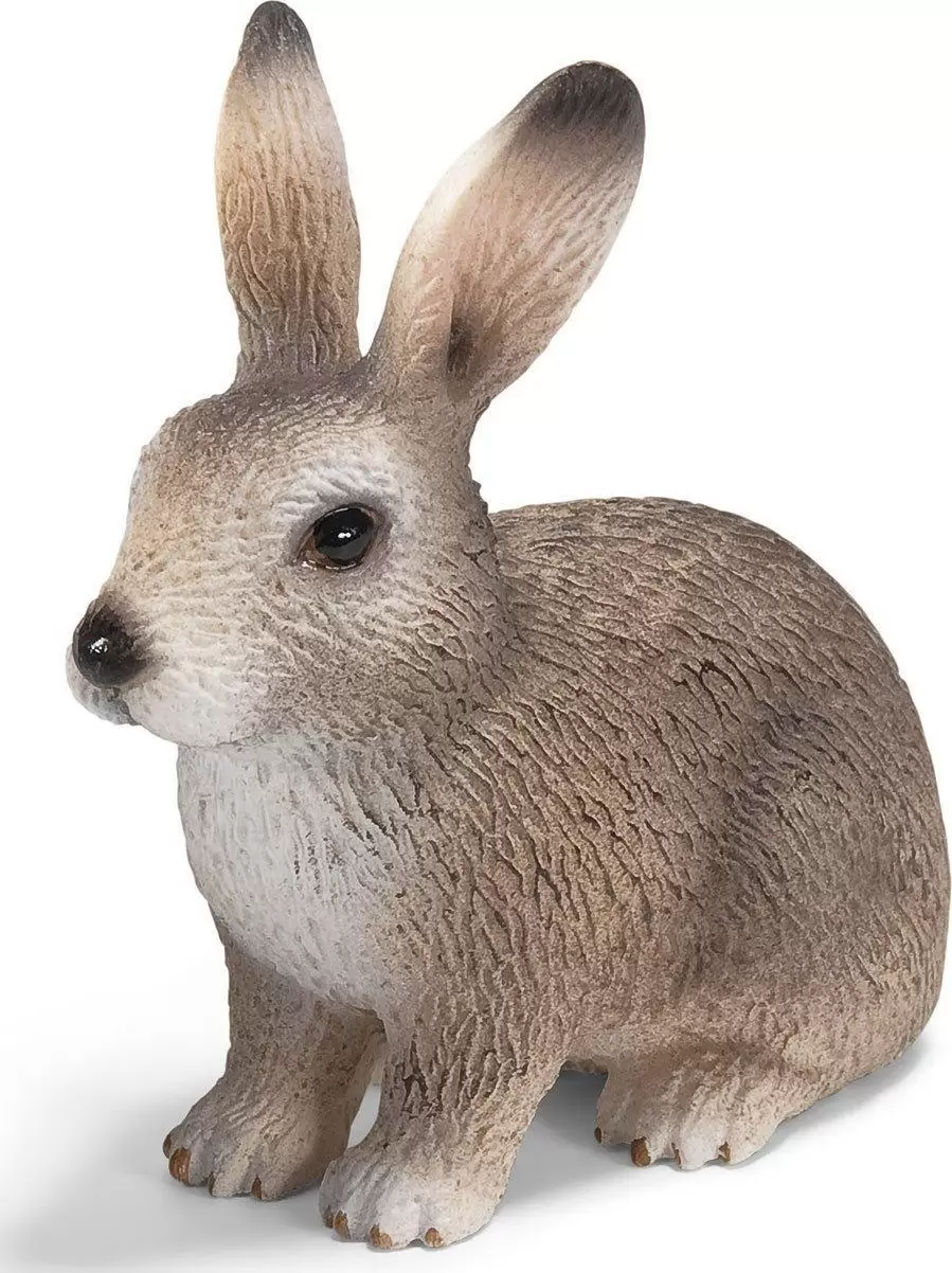 Wild Life - Lapin sauvage