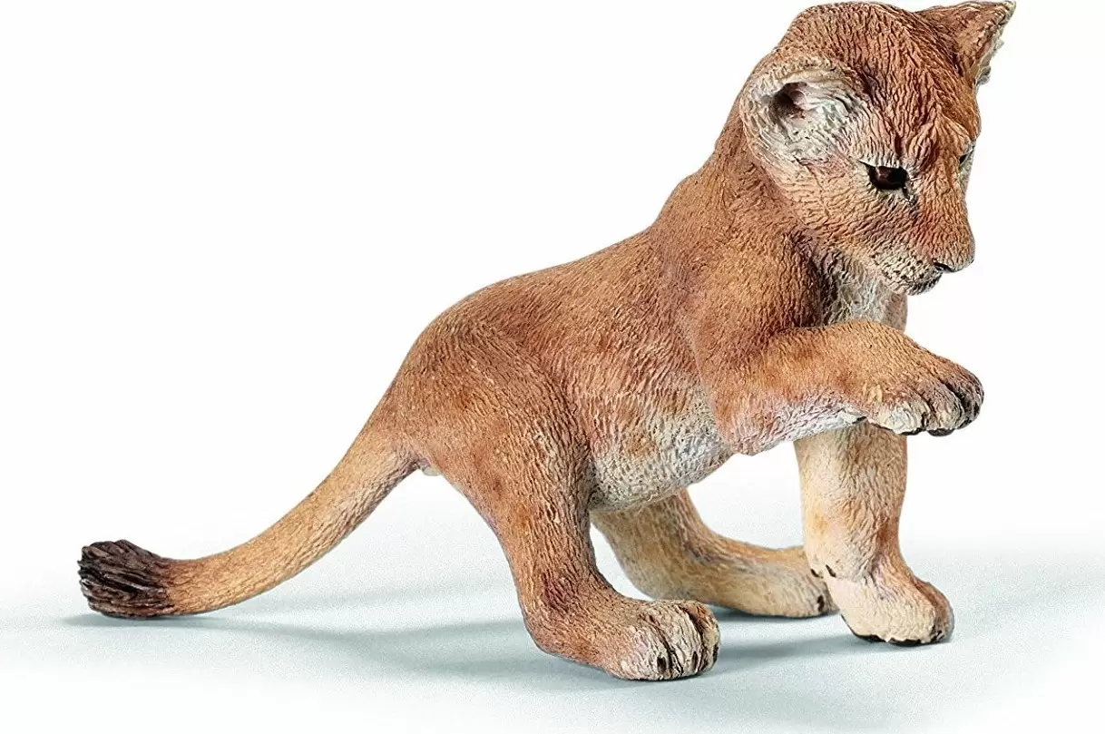 Wild Life - Lionceau jouant