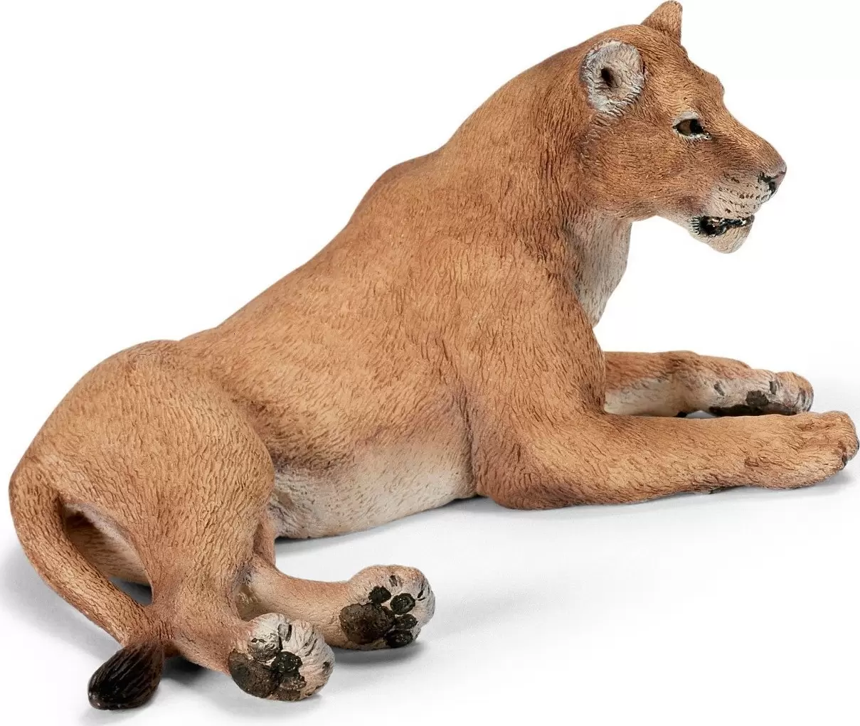 Wild Life - Lionne couchée