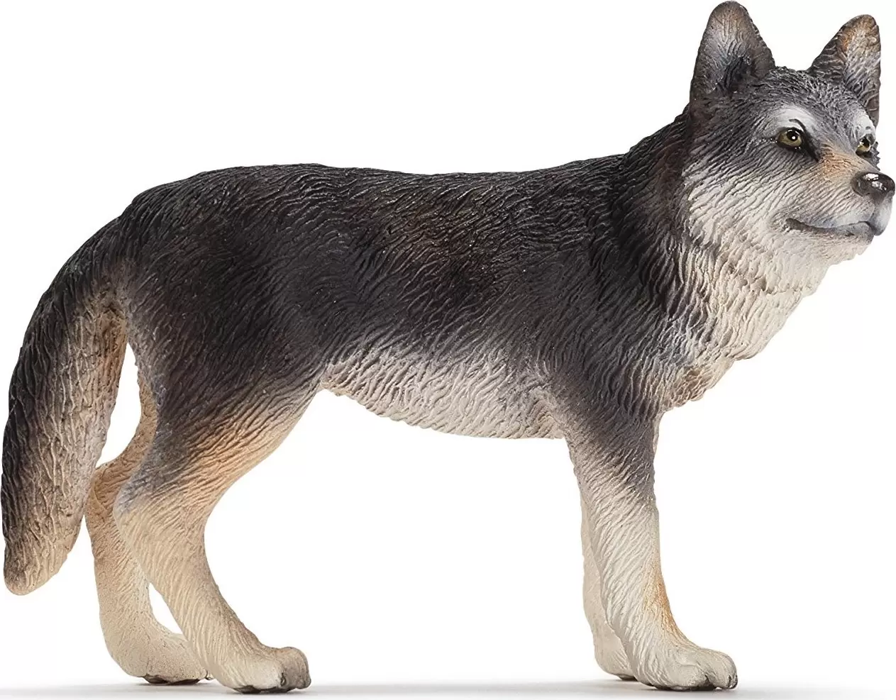 Wild Life - Loup