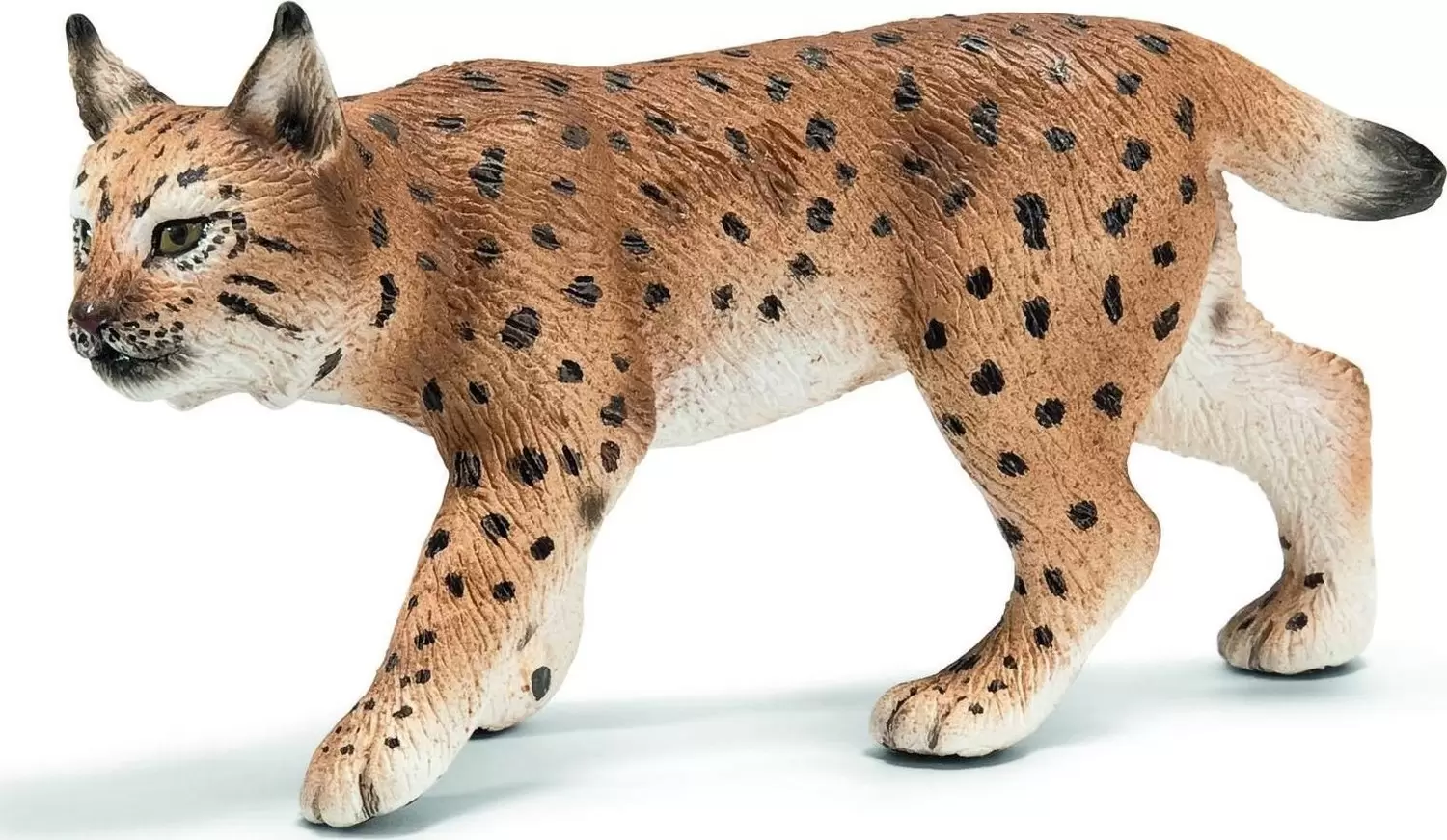 Wild Life - Lynx femelle