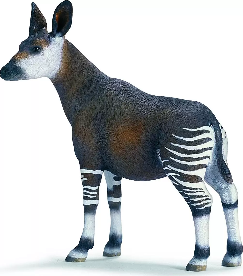 Wild Life - Okapi