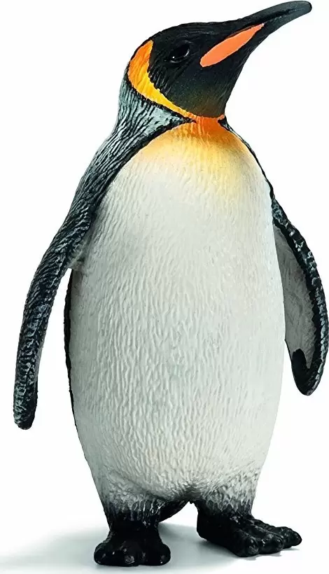 Wild Life - Pingouin
