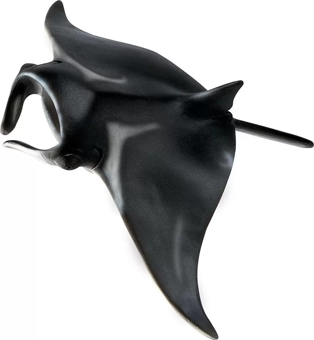 Wild Life - Raie manta