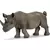 Wild Life - Rhinocéros noir mâle