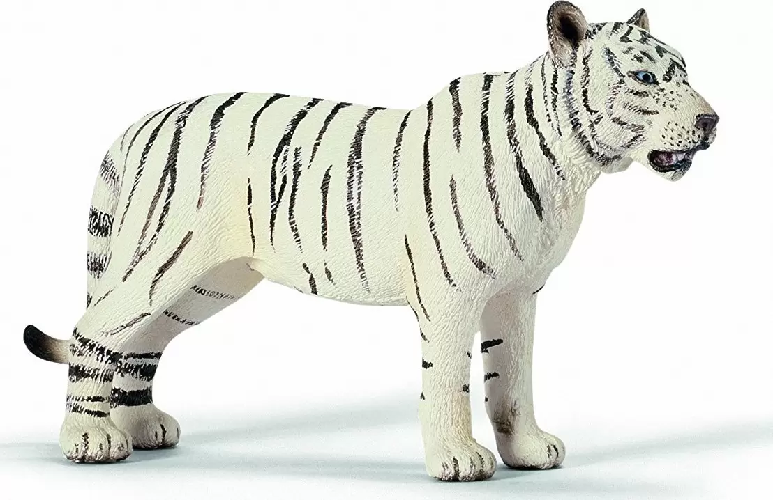 Wild Life - Tigre blanc femelle
