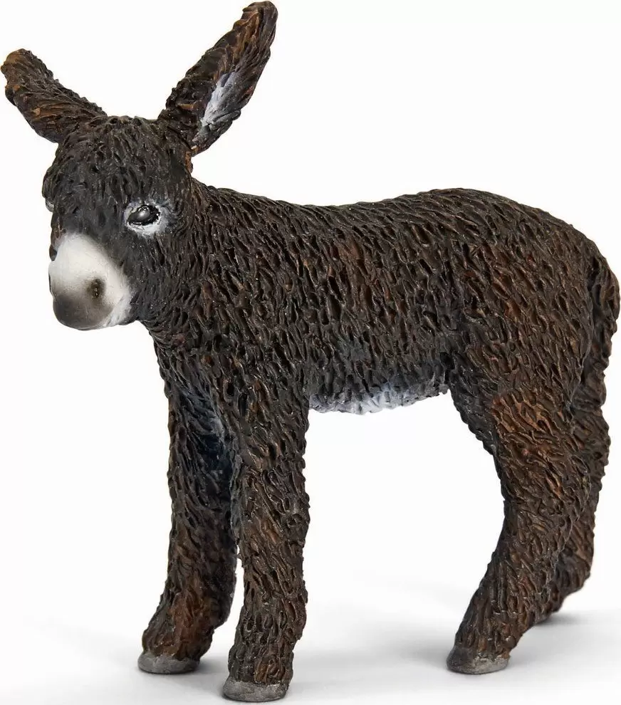 Farm World - Anon du Poitou