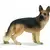 Berger allemand femelle