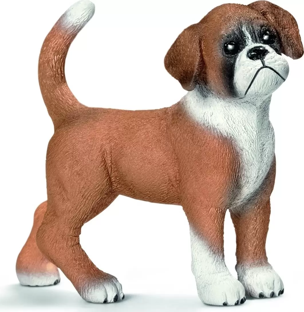 Farm World - Boxer chiot