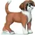 Farm World - Boxer chiot