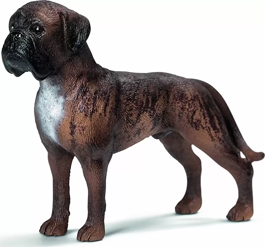 Farm World - Boxer mâle